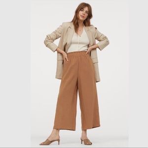 H&M Dark Beige Wide-Leg Pants
